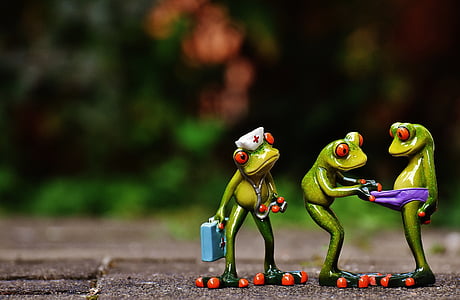 frogs, emergency, figures, funny, curious, search, doctor on call