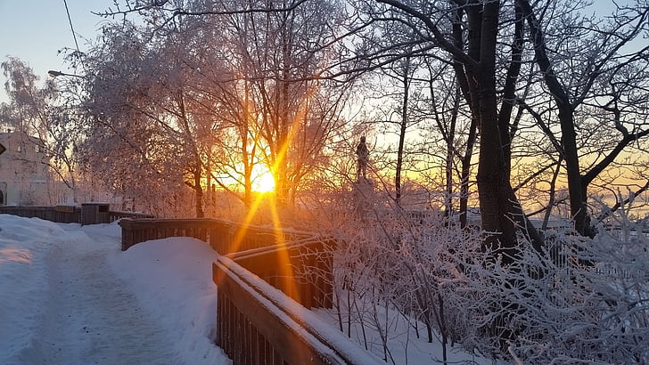 Anchorage, solnedgång, vinter, snö, skönhet