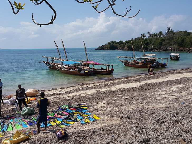pláž, Zanzibar, Já?, Tropical, Afrika, na pobřeží