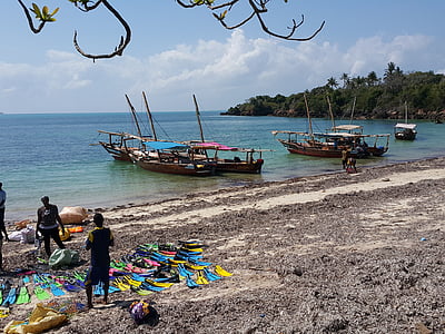 paplūdimys, Zanzibaras, jūra, atogrąžų, Afrika, ant kranto