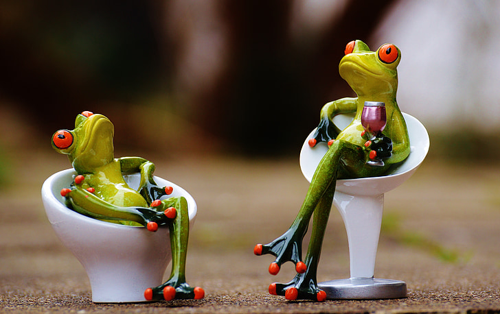 frog, chair, cozy, for two, drink, wine, cute