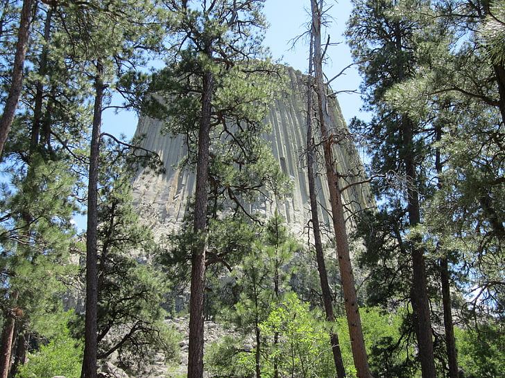 Wyoming, Devil's tower, park narodowy, drzewo, lasu, nie ma ludzi, Natura