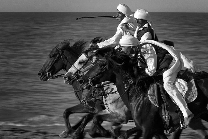 Тунис, Джерба, KONE, море, závod, плаж, Конна езда