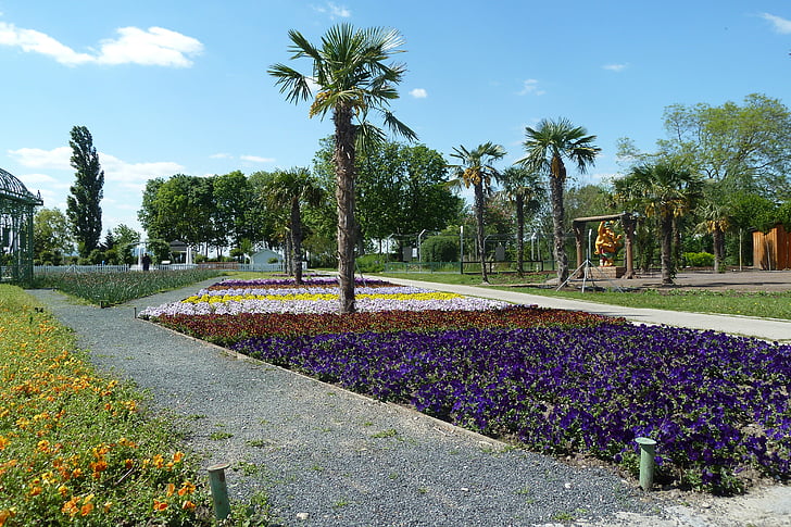 Virágoskert (virágágyások) szarvas stetten, tavaszi, virág ágy, Palm, színes, Flóra