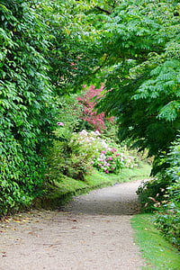 Ruta de acceso, Pasarela, vía, jardín, sendero, natural, paisajismo