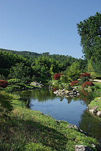 rybník, Příroda, krajina, Les, Anduze, Francie