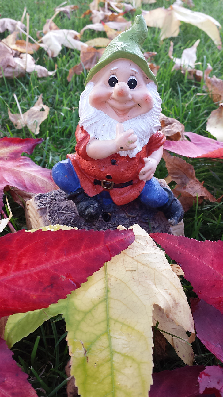 garden gnome, dwarf, autumn, leaves, gnome, leaf, season