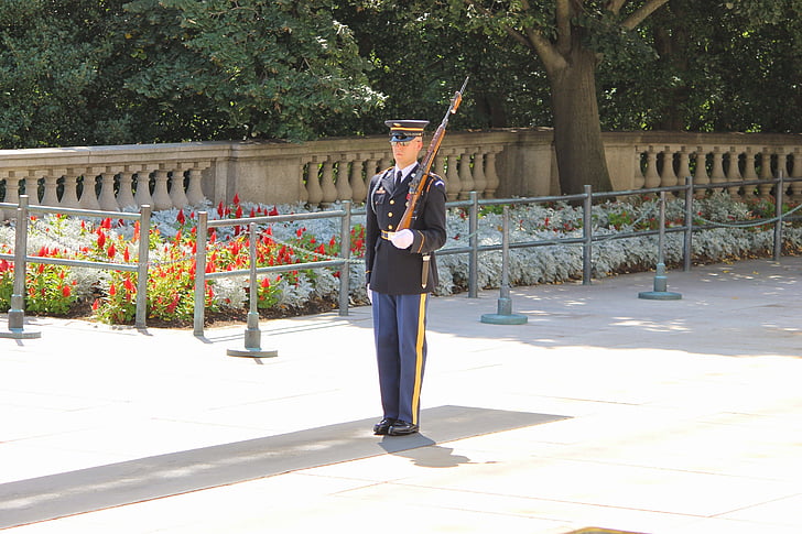 Arlington, cemitério, guarda, mudar, honra, militar, soldado