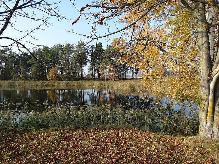 hösten, Vacker, sjön, vackra sjön, Litauen