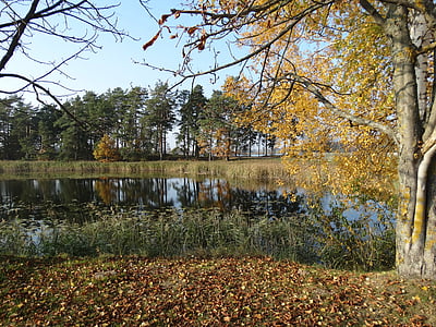 Outono, linda, Lago, belo lago, Lituânia