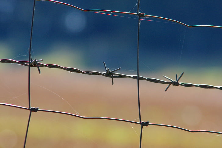 barbed wire, wiring, security, thorn, fence, demarcation, limit