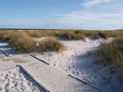 sea, dune, dune grass, coast, baltic sea, landscape, denmark