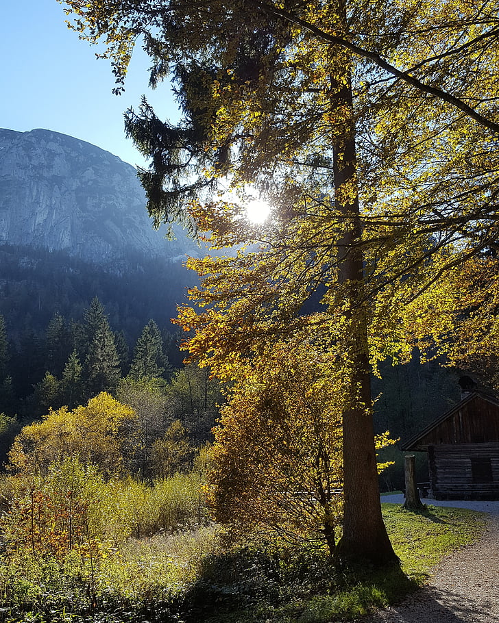 odpočinek, pěší turistika, krajina