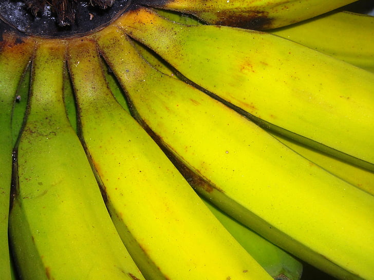 bananer, frukt, grön, gul, tundun