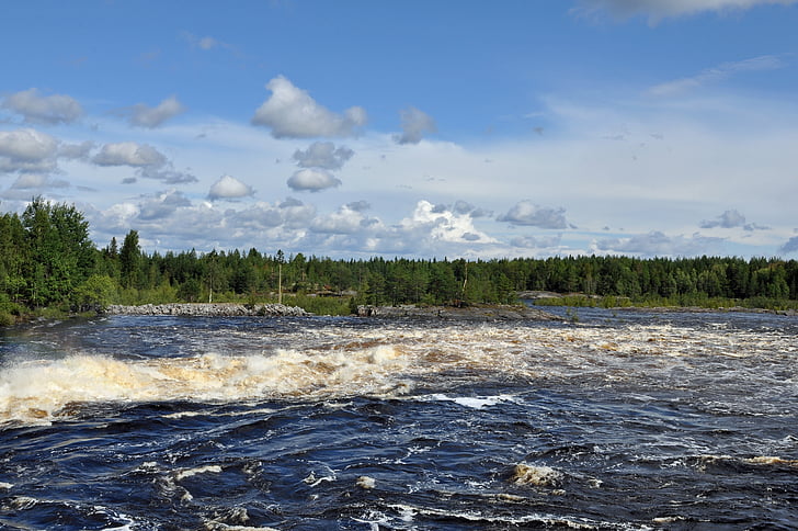 russia, water, river, nature, landscape, forest, fast water