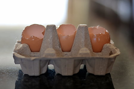 ägg containrar, tomma behållare, ägg