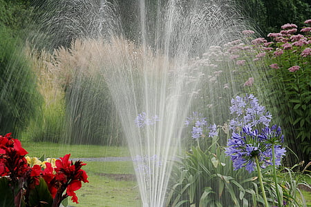 花园, 水, 草坪, 自然, 绿色, 喷雾, 浇水
