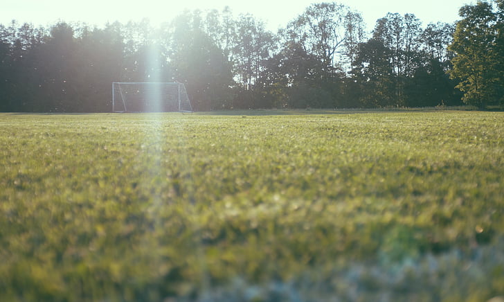 grön, fotboll, fältet, soluppgång, solsken, morgon, solljus