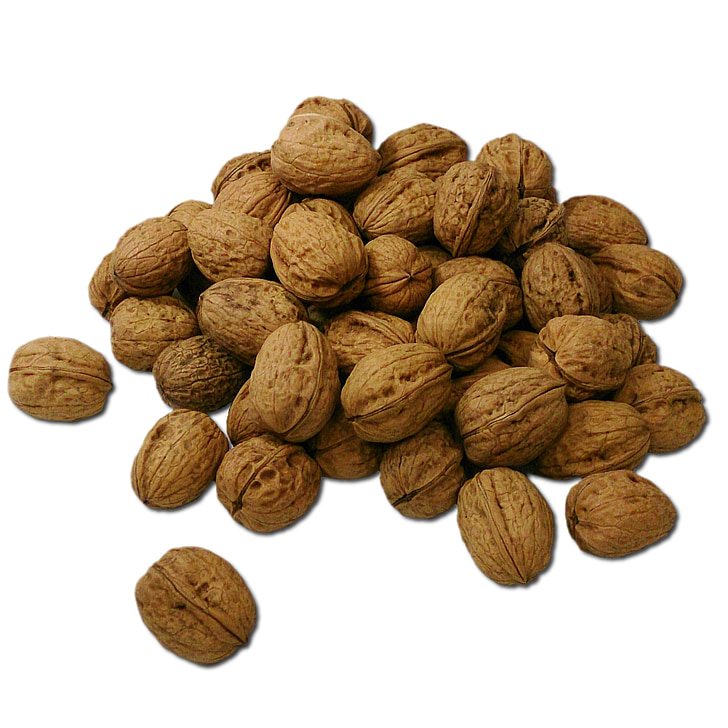 walnut, walnuts, nuts, nut
