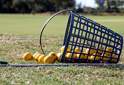quả bóng Golf, giá trong giỏ hàng, thể thao, hoạt động ngoài trời, cỏ, chơi Golf, bánh