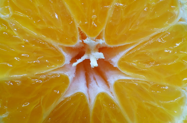 Mandarin, frukt, saftiga, friska, makro, citrusfrukter, mat