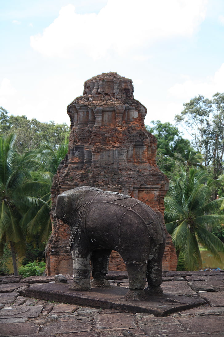Camboya, Angkor wat, Festival, ruinas, Templo de, elefante, bosque
