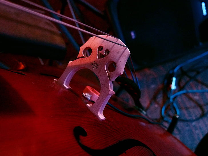 Cello, Bridge, dây, âm nhạc, cổ điển, violin, dụng cụ âm nhạc