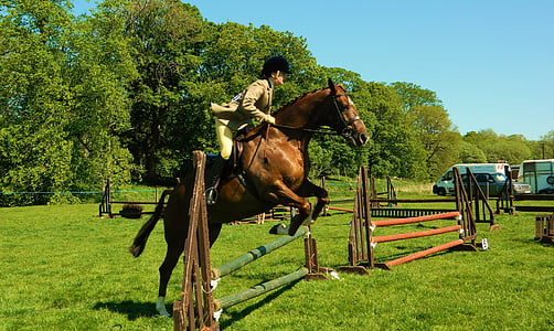 cheval, Rider, Voir l’établissement, saut d’obstacles, équitation aux Jeux, sport, cheval