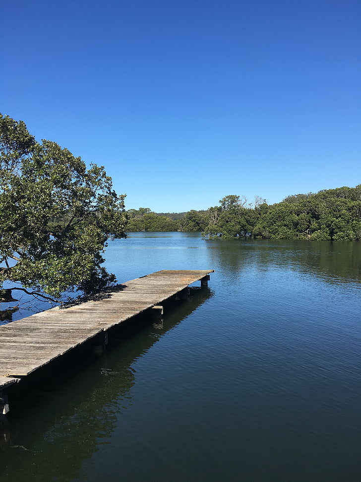 riverview, blue sky, pier, nature, lake, tree, outdoors