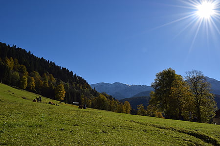 Baviera, montagne, prato alpino, autunno, cielo, sole, blu
