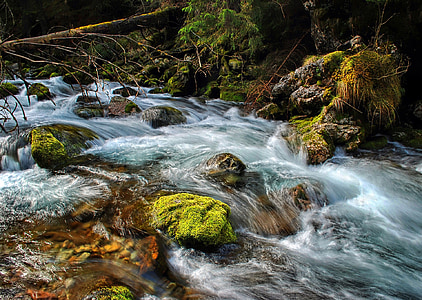 torrent, stream, tatry, mountains, water, the stones, nature