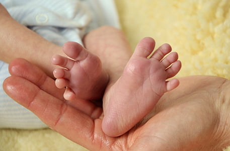 Baby, novorodenca, milý, nohy, ľudské, emócie, narodený