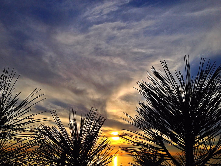 puesta de sol, San diego, California, Océano, agua, Playa, mar