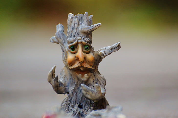 tree, face, mystical, funny, tree stump, creepy, weird