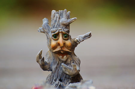 tree, face, mystical, funny, tree stump, creepy, weird