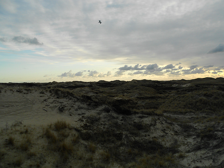dunas, Isla, Amrum, Mar del norte