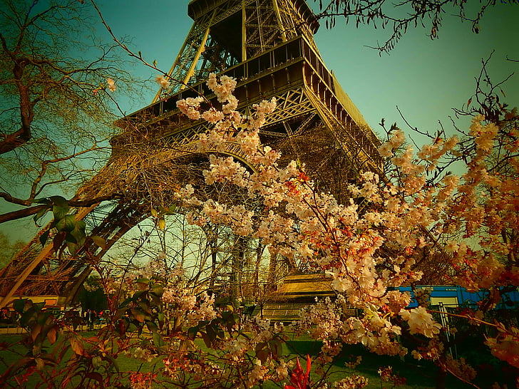 París, França, estructura d'acer, acer, Torre, arquitectura, Exposició Universal