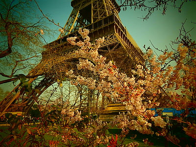 Paris, Frankrig, stålkonstruktion, stål, Tower, arkitektur, verdensudstilling