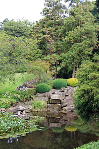 Park, rybník, jazero, Japonsko, strom, rastlín, Zelená