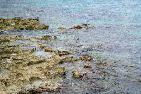 коралов риф, Мексико, вода, Кариби, скали, Гмуркане с шнорхел, фон