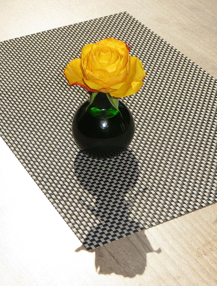 decor, vase, shadow, flower, rose, table