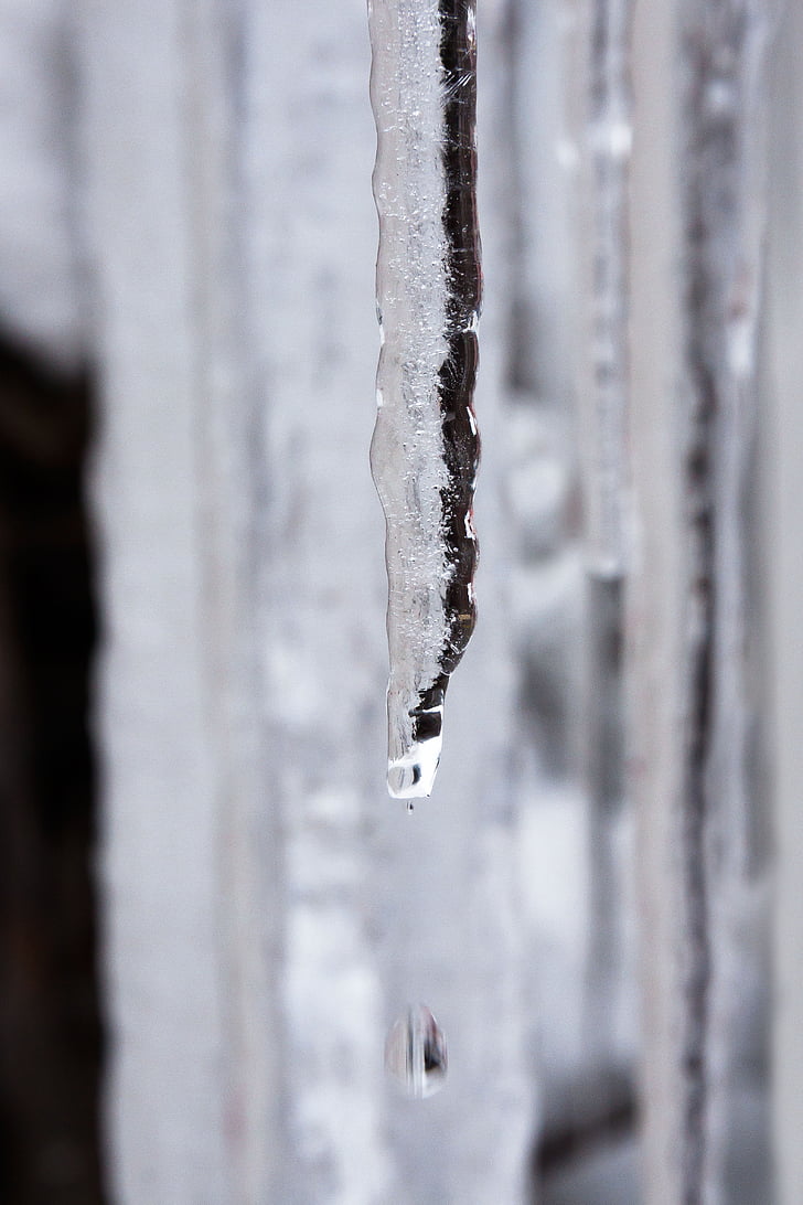 ice, icicle, drip, defrost, cold, winter, white