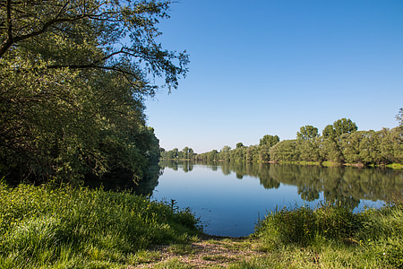 landscape, water, nature, river, old rhine, green, trees