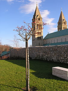 Katedra, wiosna, PECS