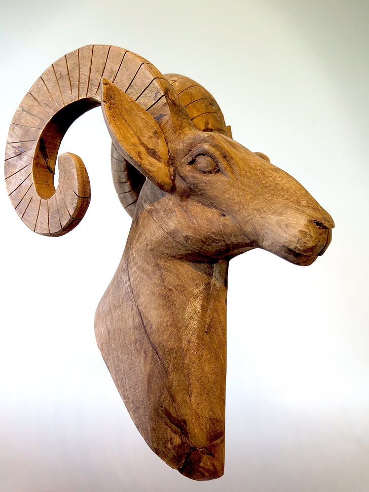 Козирог, дървен материал, артисти, скулптура, изкуство, природата, едно животно