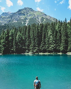 man, standing, front, lake, nature, aerial, people