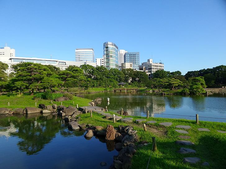 Tokyo, giardino, stagni, verde, edifici, blu, cielo