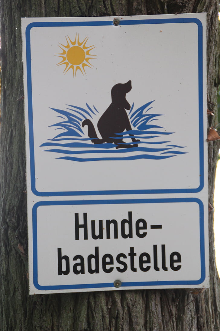 dog, bathing place, shield, note, marking