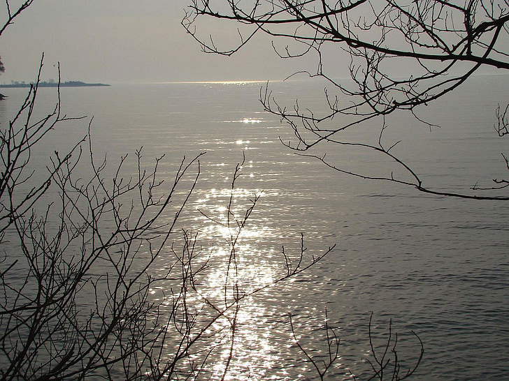 Llac, sol, l'aigua, arbre, reflexió, llum, illa