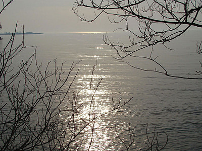 sjön, solen, vatten, träd, reflektion, ljus, ön